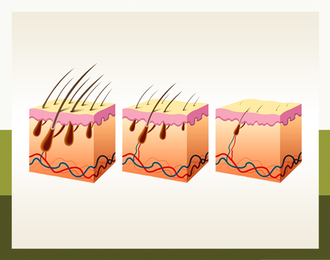 Ciclo di vita del capelli: quando crescono e quanto spesso cadono.